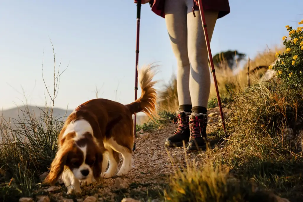 casa rural pet friendly y rutas de senderismo en la Sierra de Francia