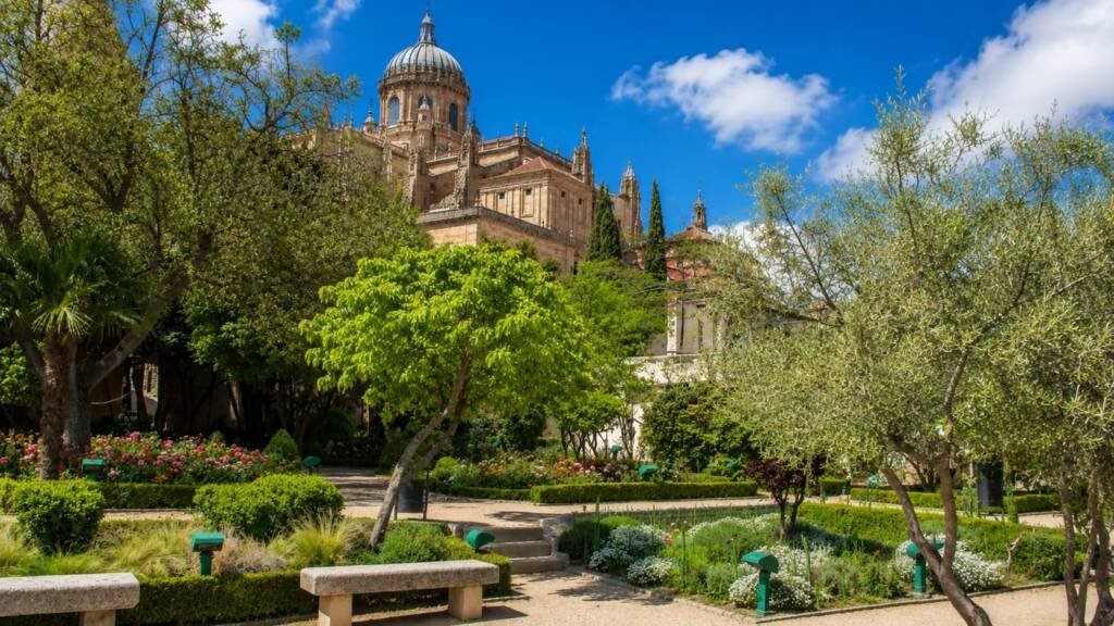 jardin de calixto y melibea salamanca